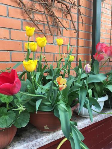 Apartamento Hotel Nadejda