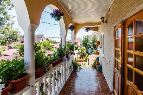 Hostal Guest House Tsvetochnaya Polyana