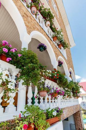 Hostal Guest House Tsvetochnaya Polyana