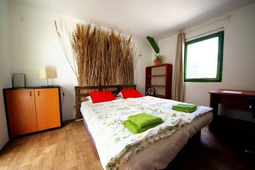 Hostal Rastlinky.sk Greenhouse Guestrooms