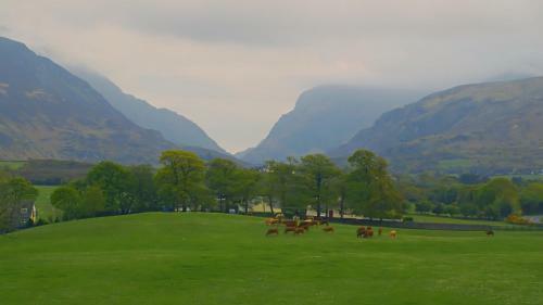 The Dunloe Hotel & Gardens