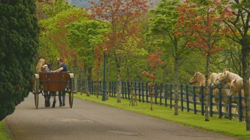 The Dunloe Hotel & Gardens