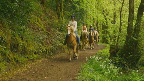 The Dunloe Hotel & Gardens