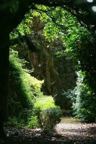 The Dunloe Hotel & Gardens