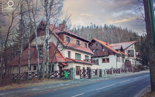 Hostal Apartamenty Wonder Home - Willa Karpacz