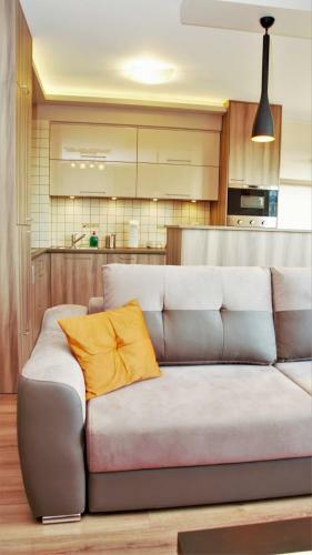 Big Apartament Seminaryjska