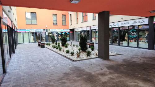 Apartament Exclusive Yellowblack