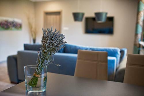 Apartamenty Ogrodowa