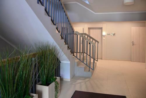 Apartamenty Cesarskie - Bryza