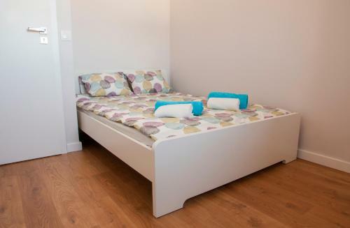 Apartament Uniwersytet