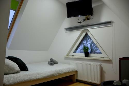 Hostel 55