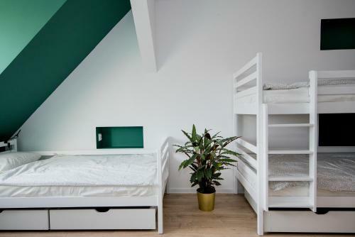 Togoto Wroc?aw Hostel