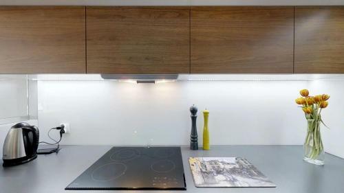 Apartamento Amsterdam Nad Odra By The River Tectumapartments