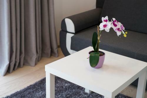 Apartamenty Comfort & Spa Stara Polana