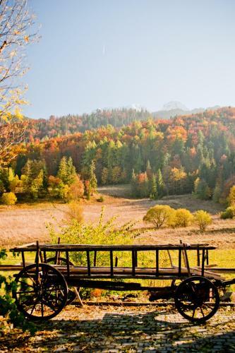 Apartamento Rentplanet - Willa Bachled�wka