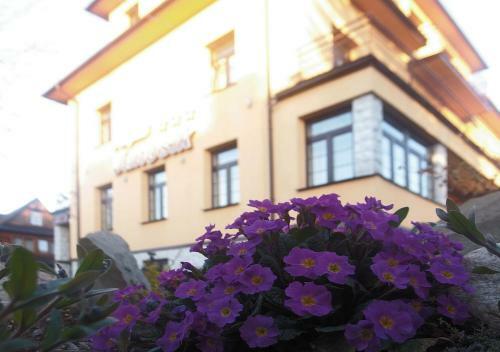 Bed & Breakfast Pensjonat Janosik