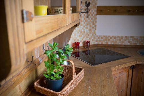 Apartamento Pod Dachem Zakopane