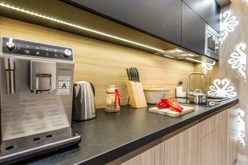 Apartamenty Jagiello?ska Vip Zakopane