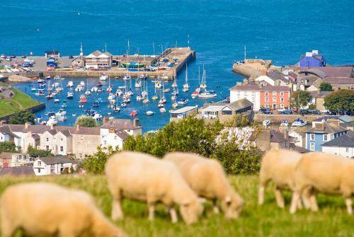 The Aberaeron Apartment