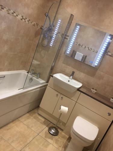 Apartamento Llys Bedw - Birch Court