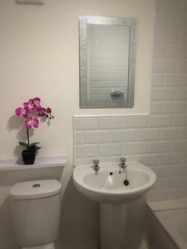 The Abberley Apartment - Stay Worcestershire