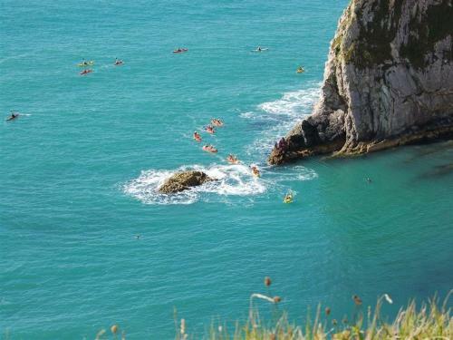 Little Ivy, West Lulworth