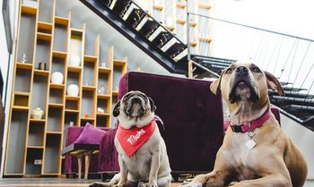 Hotel Boutique Mo17