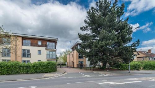 Hampden Apartments - The Beatrice