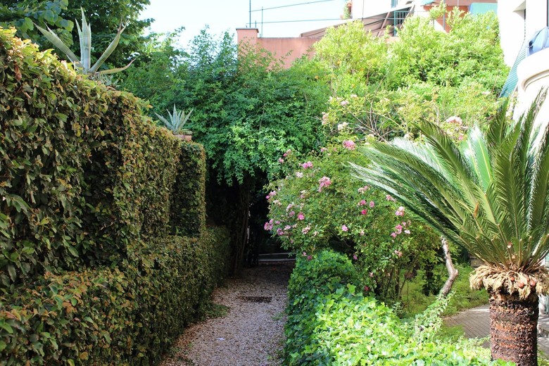 Bed & Breakfast Aventino Guest House
