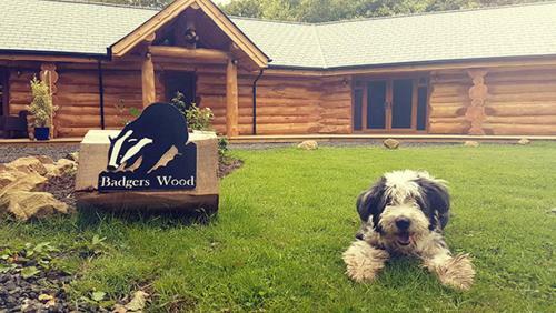 Lodge Badger's Wood At Hoo Farm