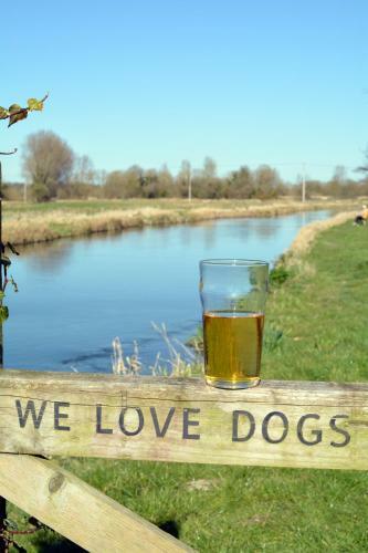 The Greyhound On The Test Hotel