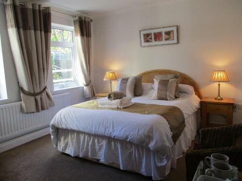 Hostal Mayfield Guesthouse