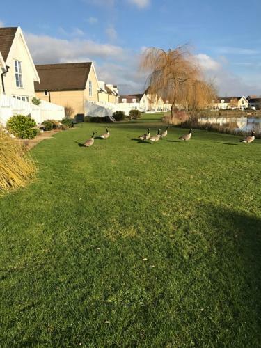 Villa Luxury 3 Bed Home By The Lake