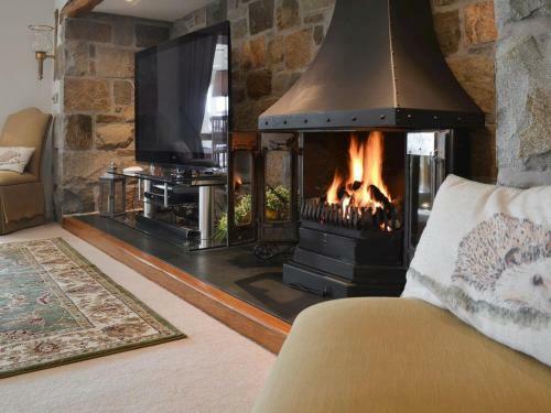 Bodrydd