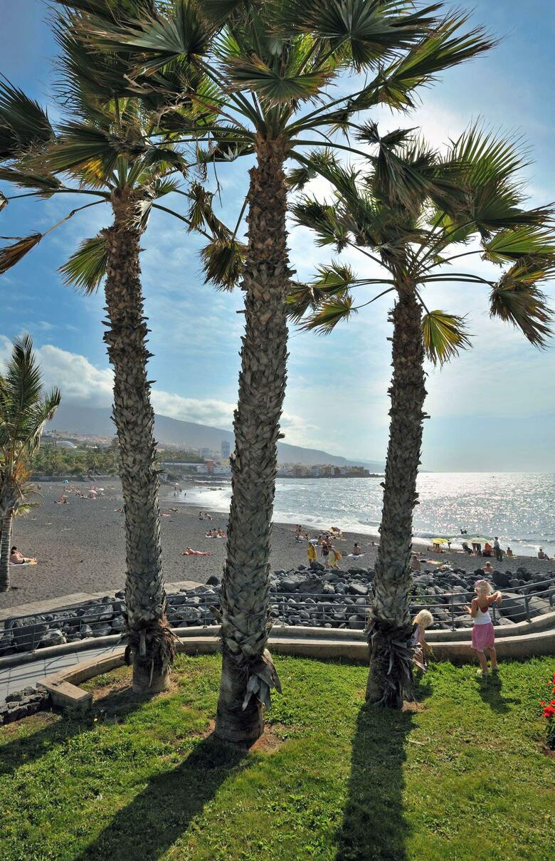 Hotel Sol Puerto de La Cruz Tenerife