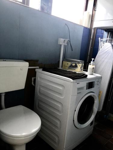 The Paddocks, Number 10