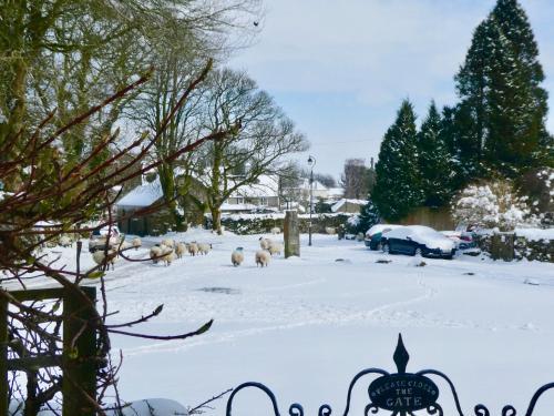 Bed & Breakfast Dartmoor House B & B