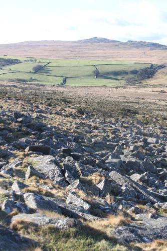 Bed & Breakfast Dartmoor House B & B