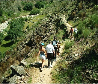 Hotel Hostal Sancho Garcia