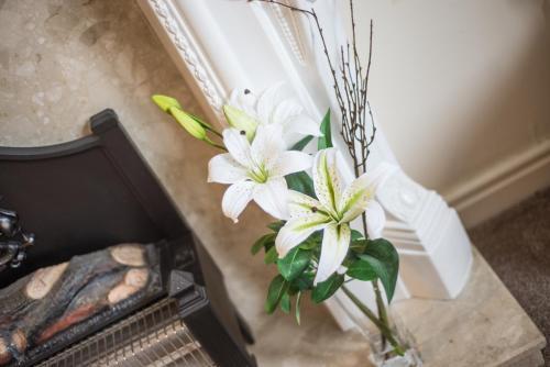 Sallyport City Centre Apartment Newcastle