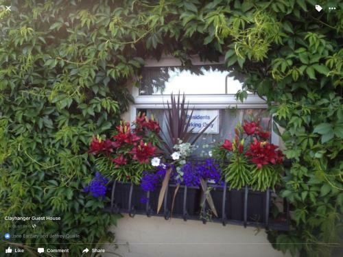 Hostal Clayhanger Guest House