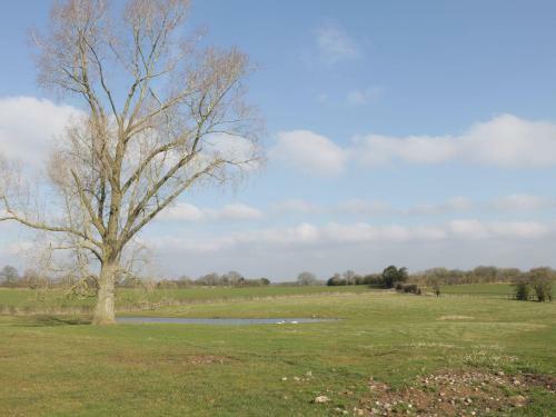 The Granary, Market Drayton
