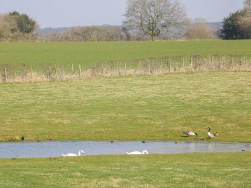 The Granary, Market Drayton