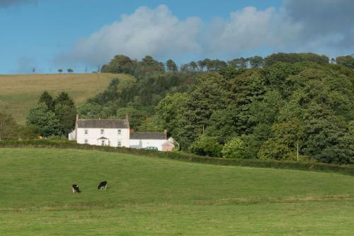 Bed & Breakfast Bishopcleugh Guest House