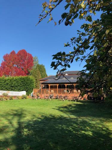 Bed & Breakfast Spot In The Woods