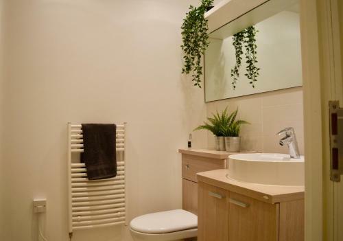 Modern Studio Apartment In Northern Quarter