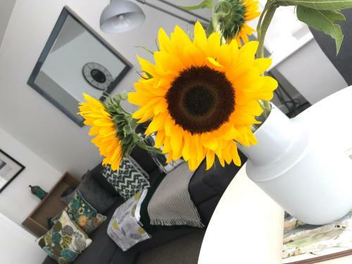 Apartamento West End Mews