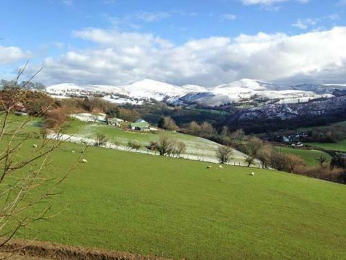 Tyn Llwyn, Llangollen