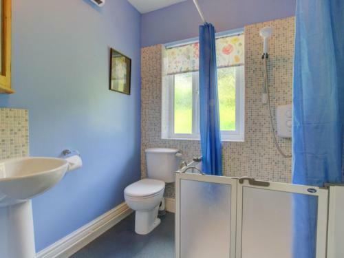 Holiday Home Dolywern