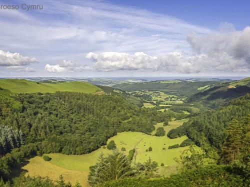 Holiday Home Dinas Y Gadair